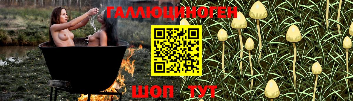 Псилоцибиновые грибы ЛСД Дальнегорск