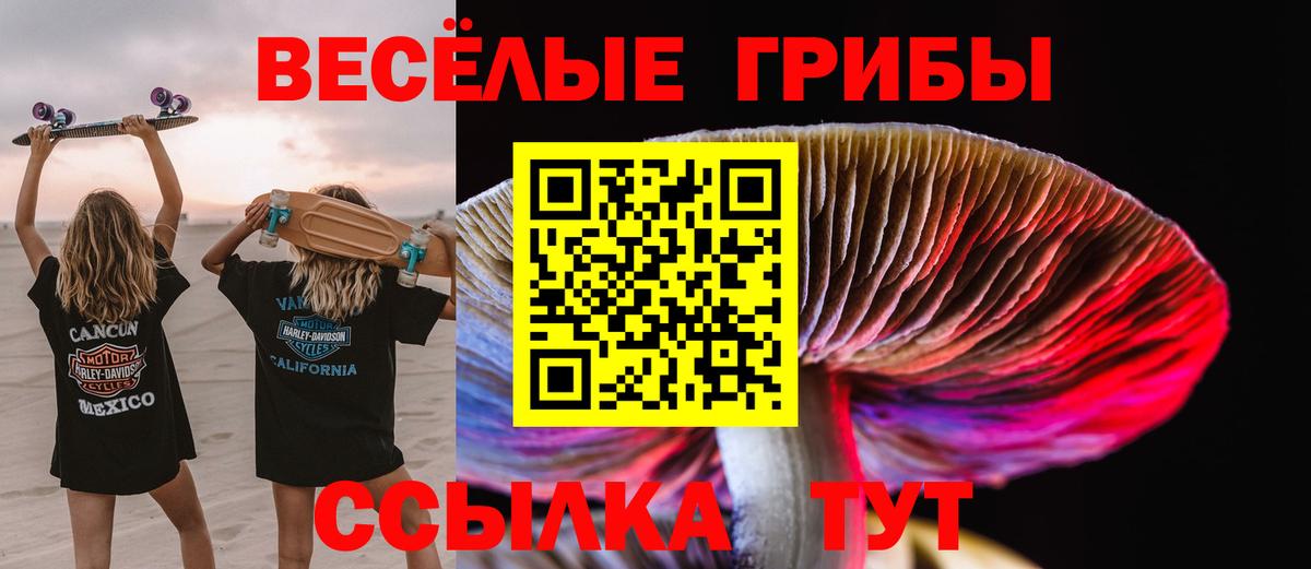 Галлюциногенные грибы Psilocybe  наркота  Дальнегорск  Вход с VPN  Псилоцибиновые грибы ЛСД 