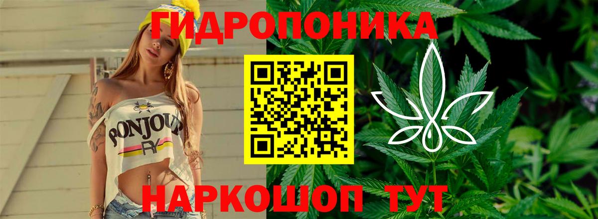 Бошки марихуана марихуана Дальнегорск